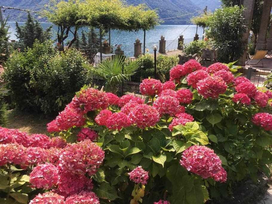 Villa Peroni Lake Como Vintage Argegno Exterior foto